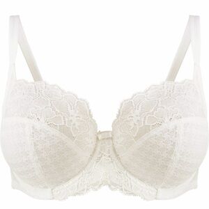 Panache Envy Underwire Stretch Lace Bra Size 40G